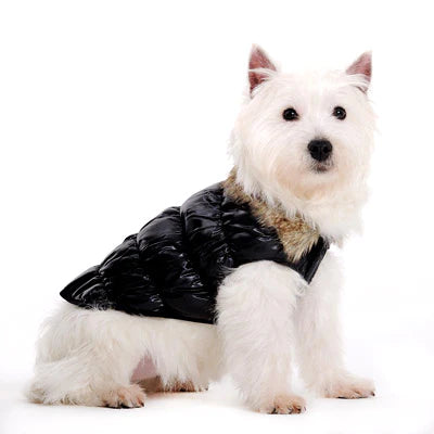 Dogo Pet - Jacket Ruched Bubble Black