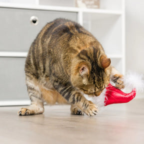 Huxley & Kent - Cat Toy Santa Hat & SweetThing