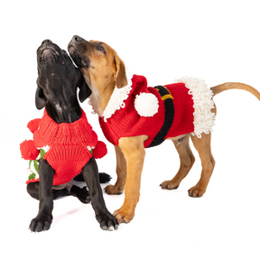 Dog Sweater Santa