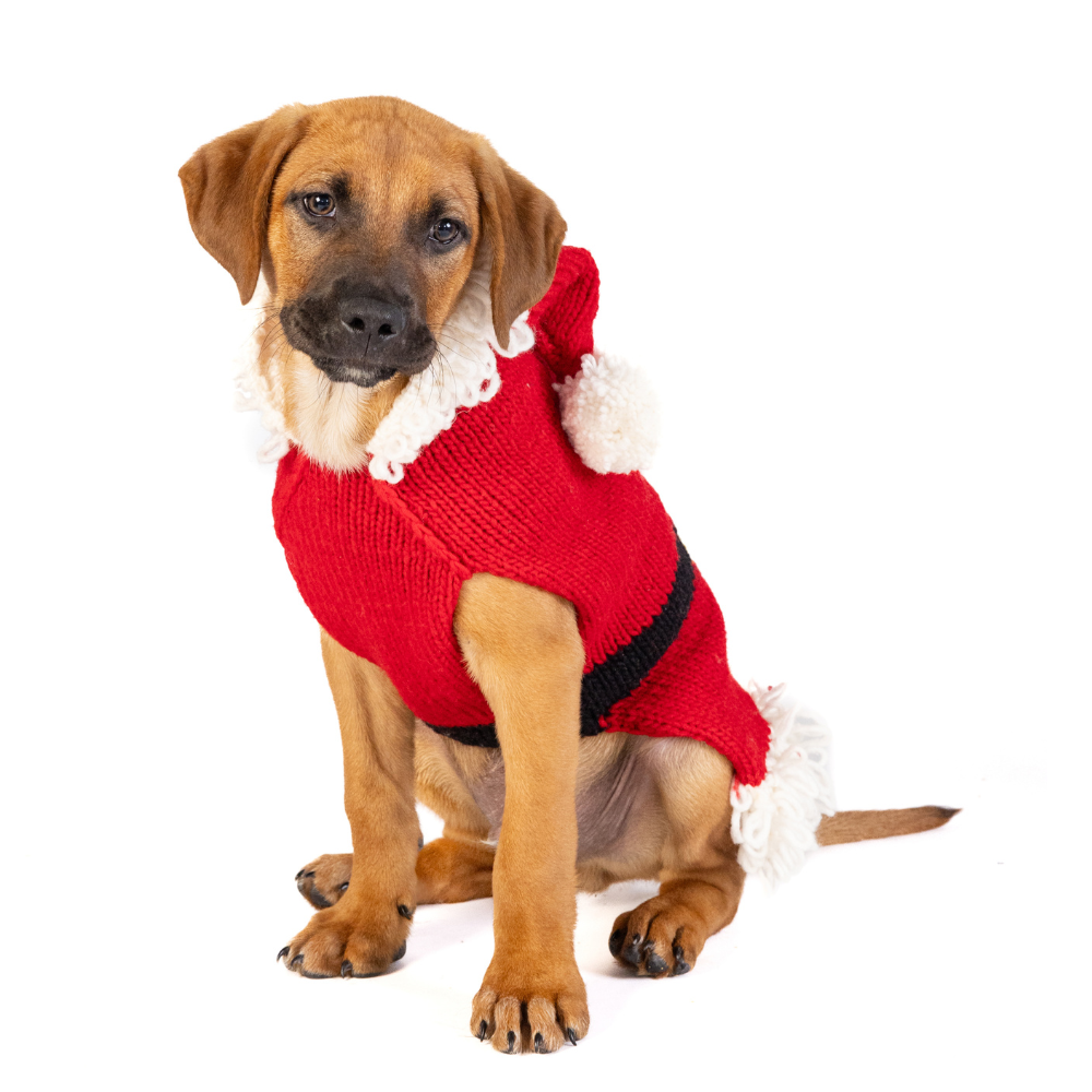 Dog Sweater Santa