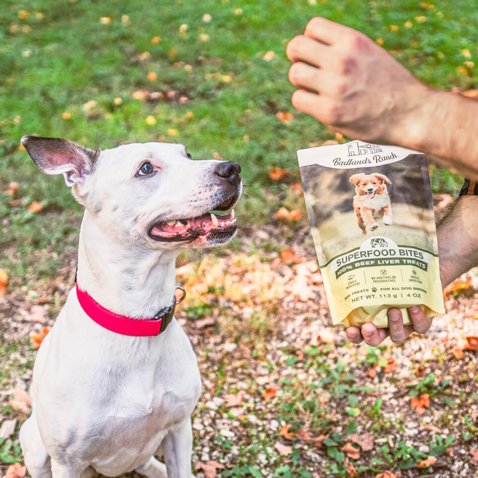 Superfood Bites 100% Beef Liver Treats Freeze-Dried Raw