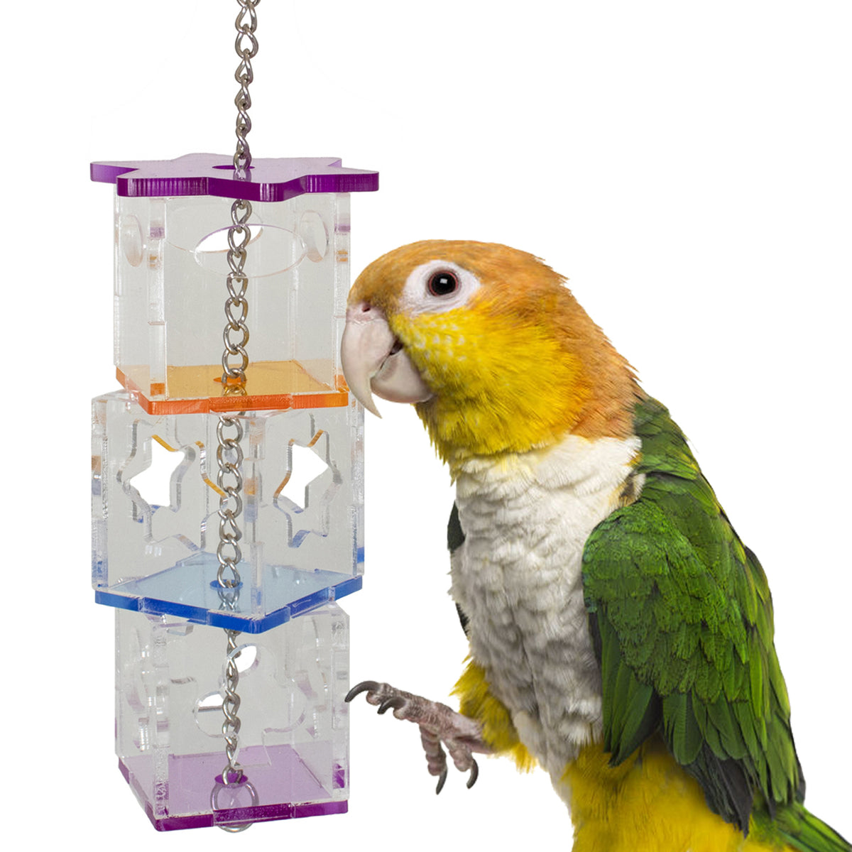 Foraging Cubes Bird Toy