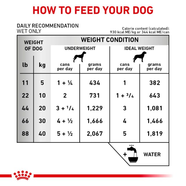 Royal Canin Veterinary Diet - Renal Support "D", "Delectable" Canned Dog Food