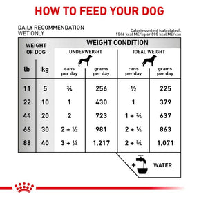 Royal Canin Veterinary Diet - Canine Renal Support T loaf, "Therapeutic" Canned Dog Food (Copy)