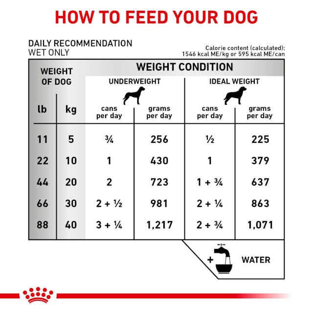 Royal Canin Veterinary Diet - Canine Renal Support T loaf, "Therapeutic" Canned Dog Food (Copy)