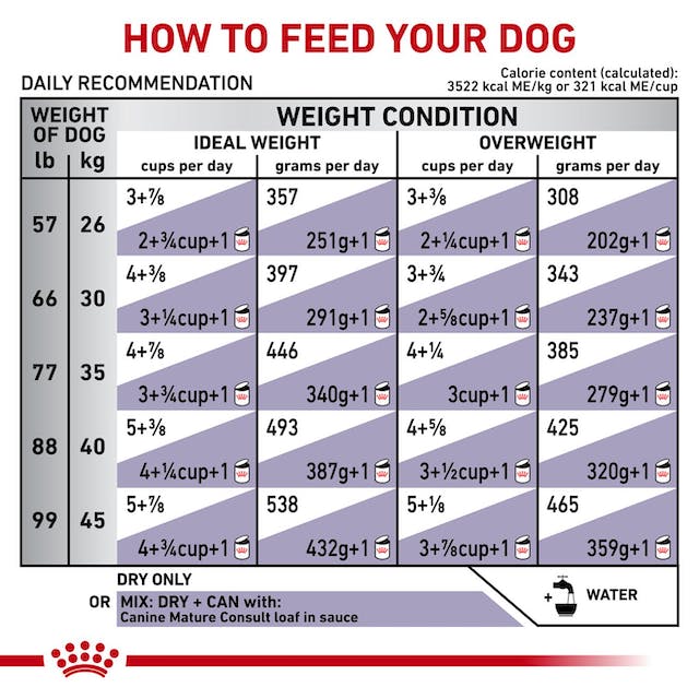 Royal Canin Mature Consult Large Dog Dry