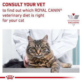 Royal Canin Vet Diet - Satiety Support (Weight) Loaf in Sauce Cat Can 5.1 oz