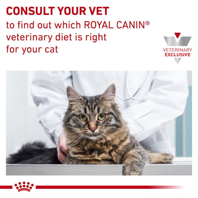 Royal Canin Vet Diet - Satiety Support (Weight) Loaf in Sauce Cat Can 5.1 oz