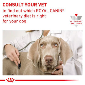 Royal Canin Mature Consult Large Dog Dry