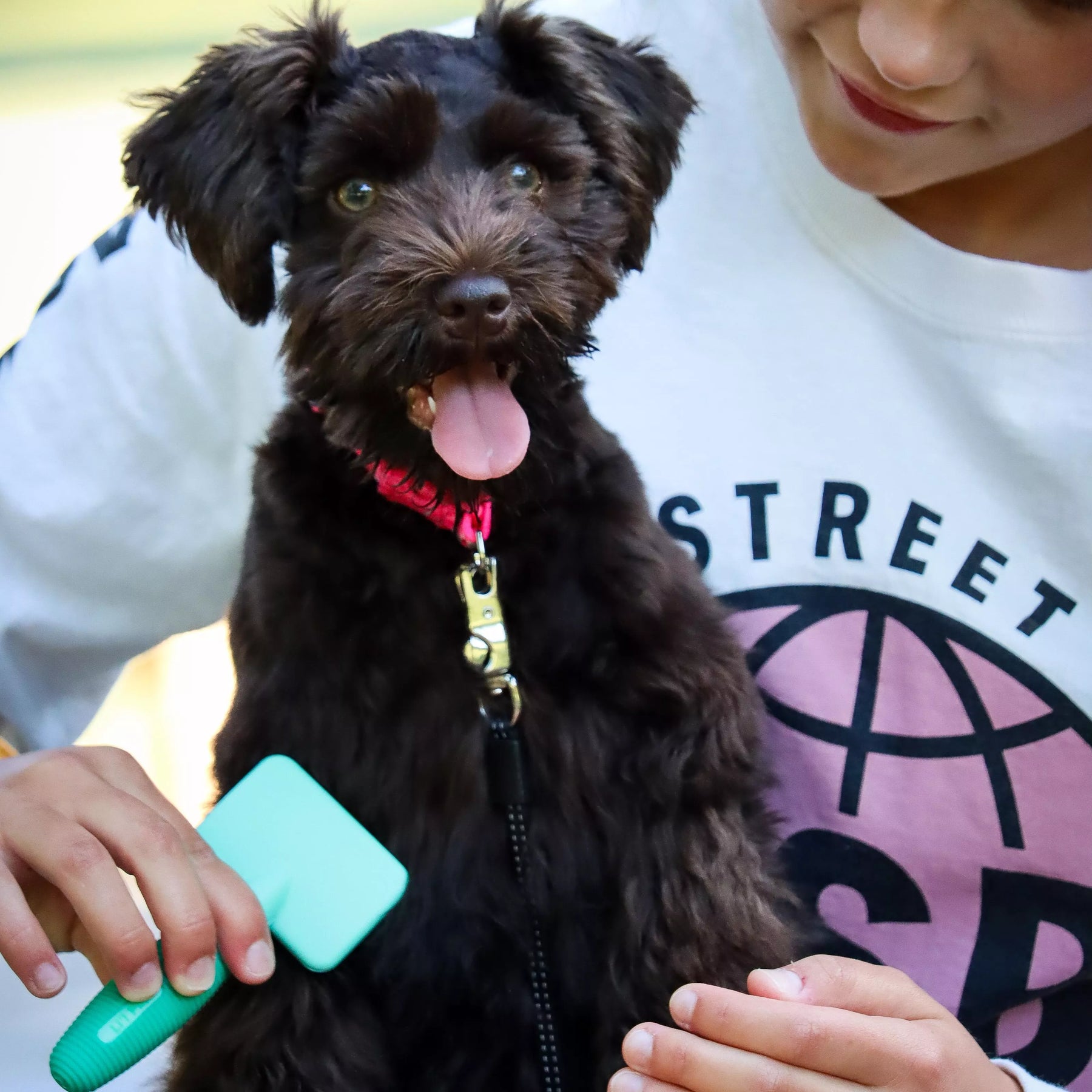 Puppy Grooming Kit Li'l Pals