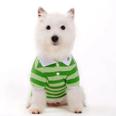 Dogo Pet - PP Stripe Polo Shirt Green