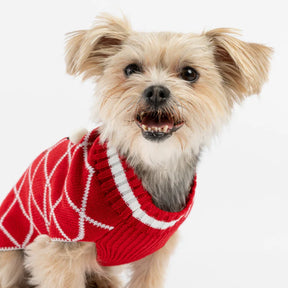 Christmas Ugly Sweater Gingerbread (Man) for Dogs