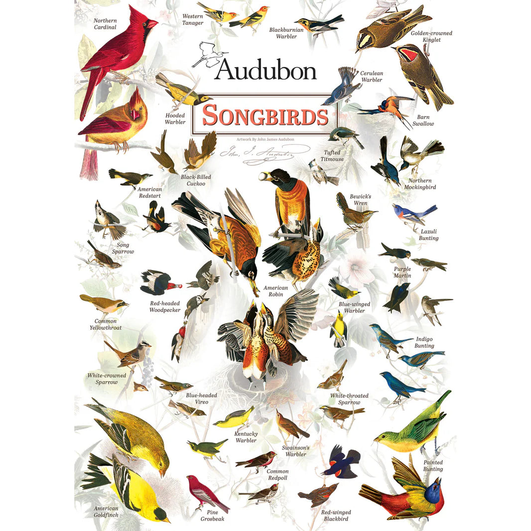 Songbirds by Audubon - 1000 Piece Jigsaw Puzzle