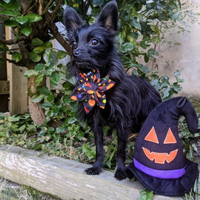 Huxley & Kent - Witch Hat for Dogs