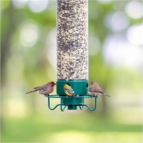 Droll Yankee - Bird Feeder Yankee Flipper