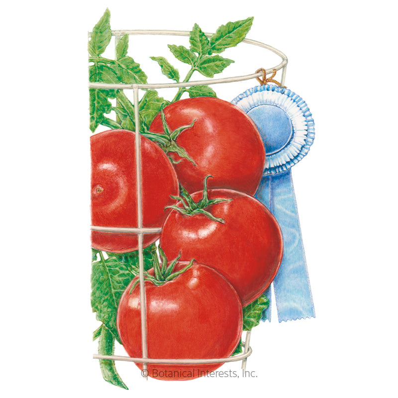 Tomato Bush Red Pride Hybrid Seeds