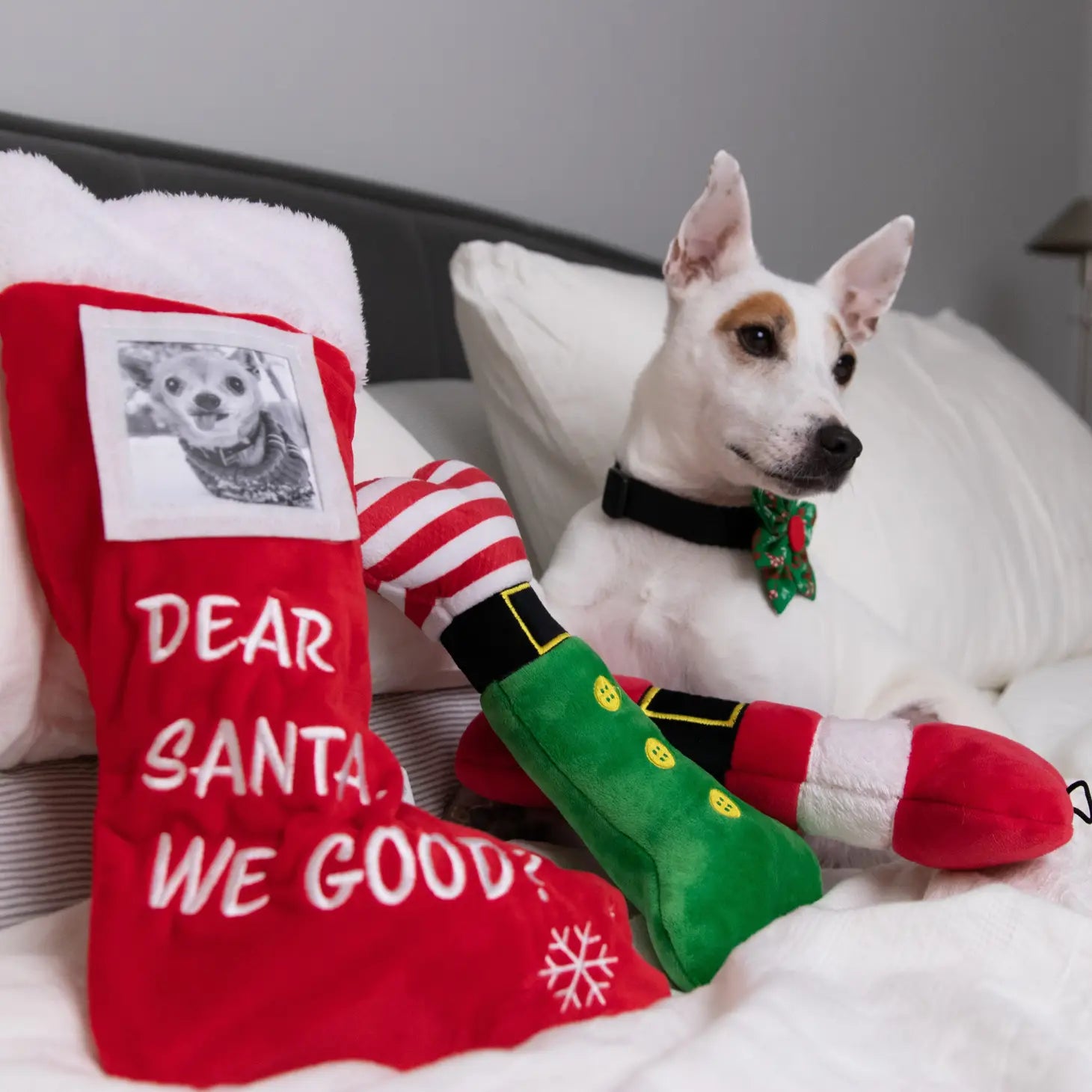 Huxley & Kent - Lulubelles Elf Suite Bone Dog