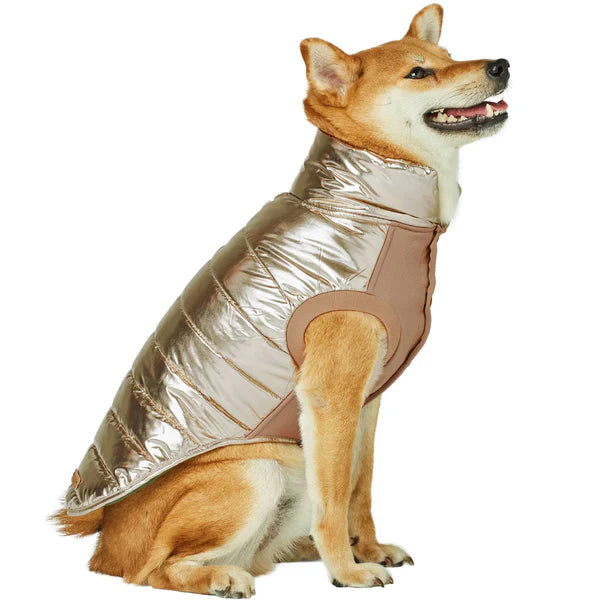 Gold | Dog Puffer Jacket