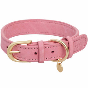 Genuine Leather Dog Collar - Southern Agriculture