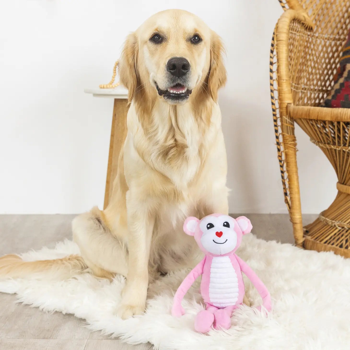 Petshop by Fringe Studio - Monkey Love Dog Toy