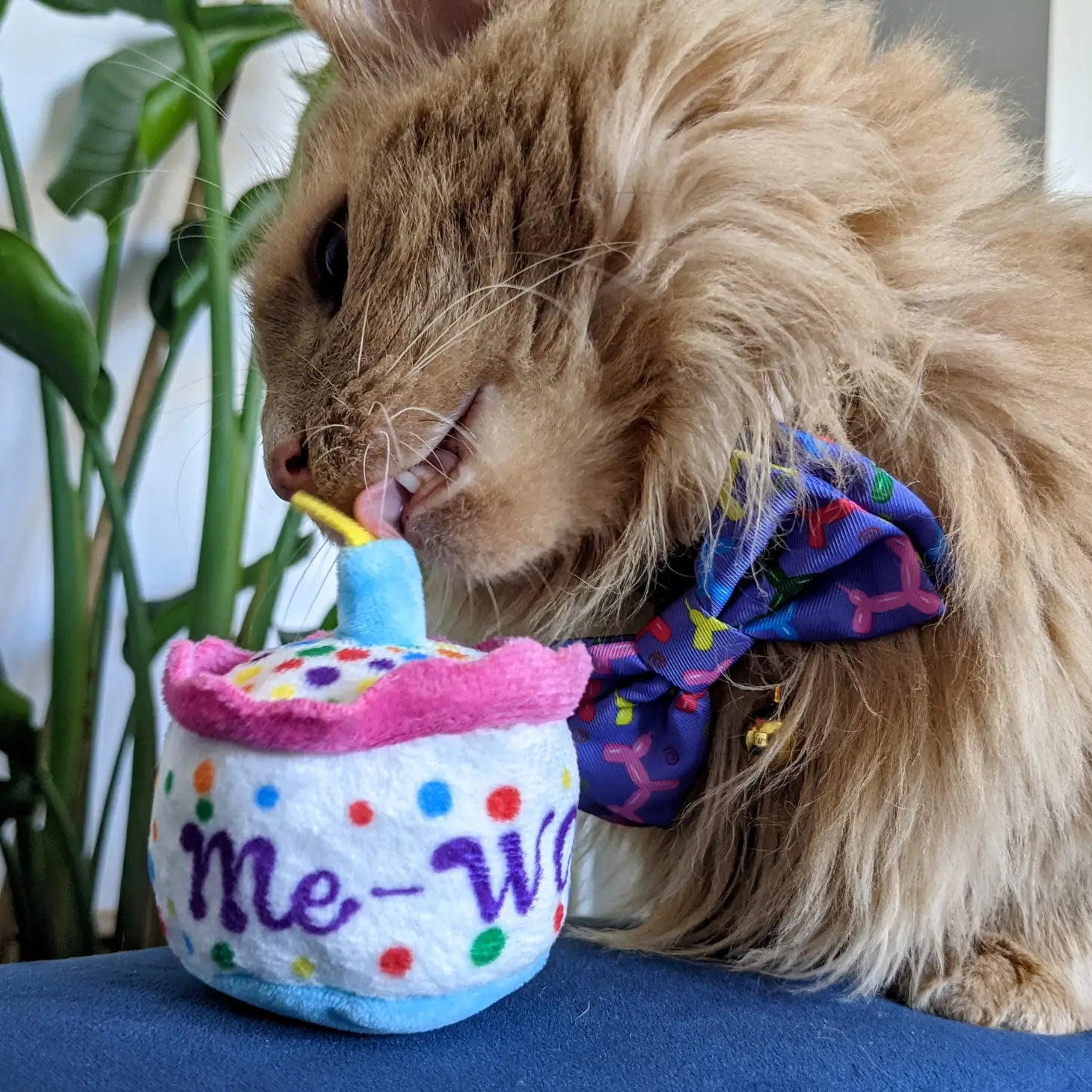 Huxley & Kent - Kittybelles Mewow Cake