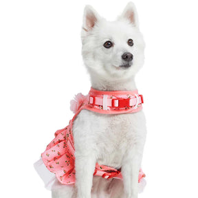 Rose Baby Pink | Made Well Floral Dog Dress Harness