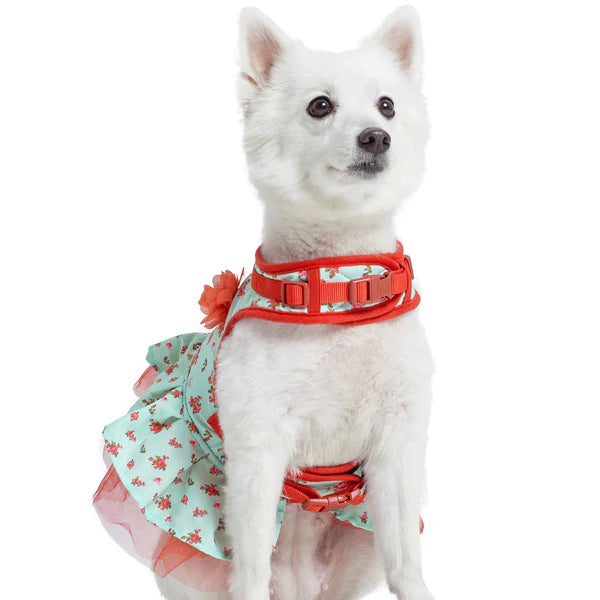 Turquoise | Made Well Floral Dog Dress Harness