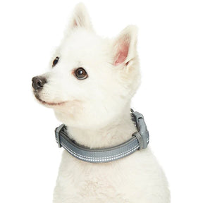 Grey | 3M Reflective Neoprene Padded Dog Collar