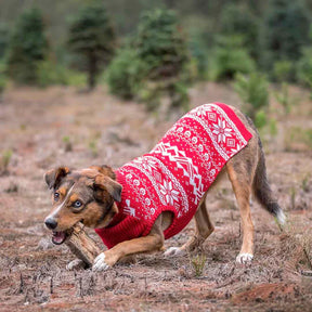 Festival Red | Fair Isle Mockneck Dog Sweater