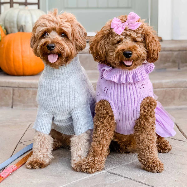 Lavender | Dog Sweater Dress