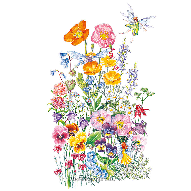 Flower Mix "Fairy Meadow" Seeds