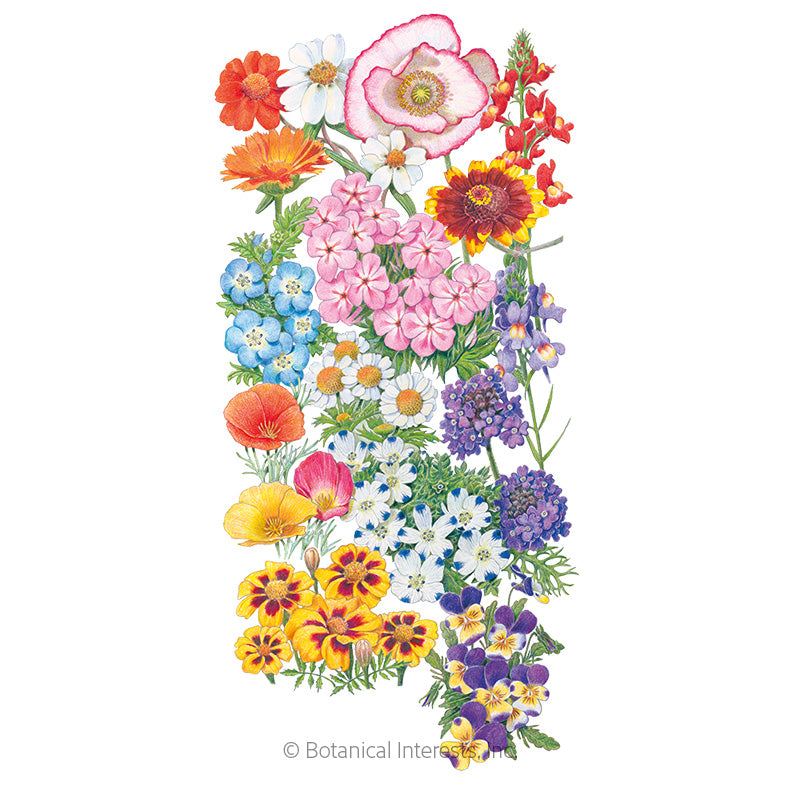 Flower Mix "Three-Seasons Bloom" Seeds