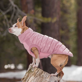 Pink | Dog Puffer Jacket