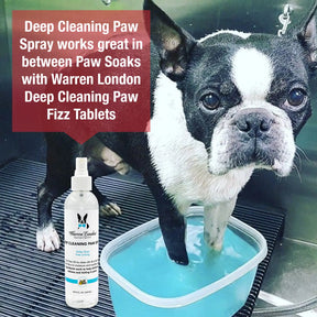 Warren London - Deep Cleaning Paw Spray