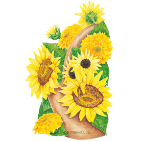 Sunflower Dwarf Elves Blend Organic Seeds