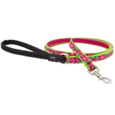 Cat Lead Nylon