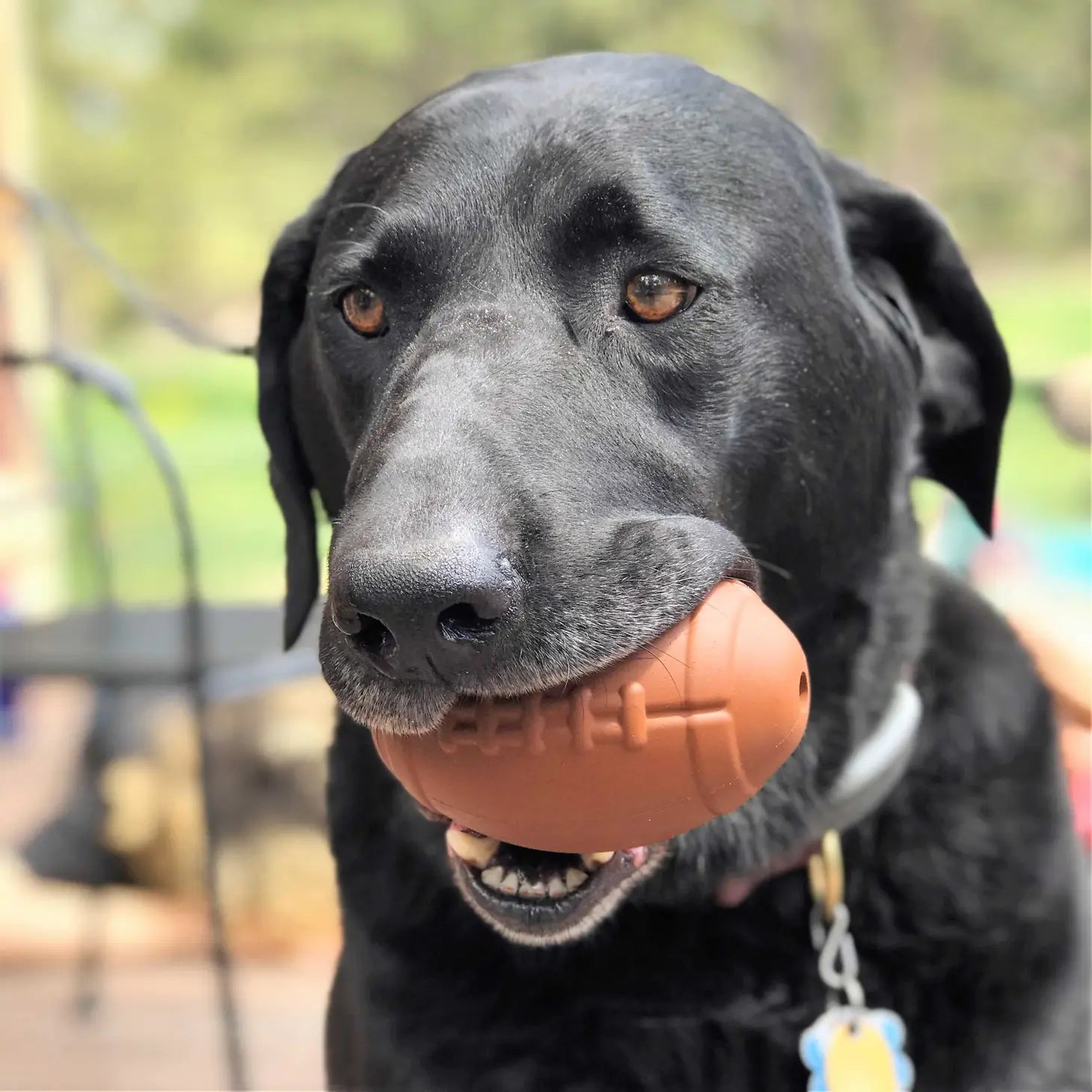 Football Dog Chew Toy & Treat Dispenser