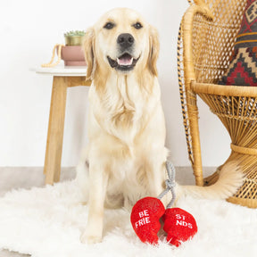 Petshop by Fringe Studio - Besties 4ever Dog Toy