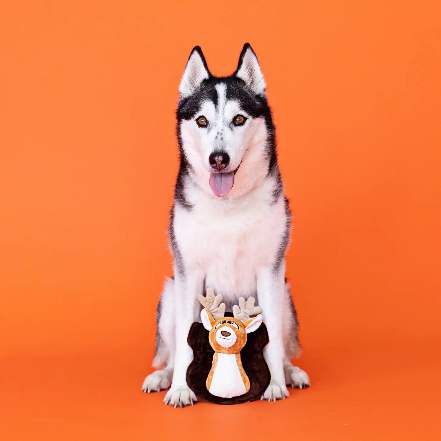 Oh Deer! Plush Dog Toy