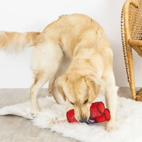 Petshop by Fringe Studio - Dog Toy Your Dynamite