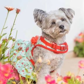 Turquoise | Made Well Floral Dog Dress Harness