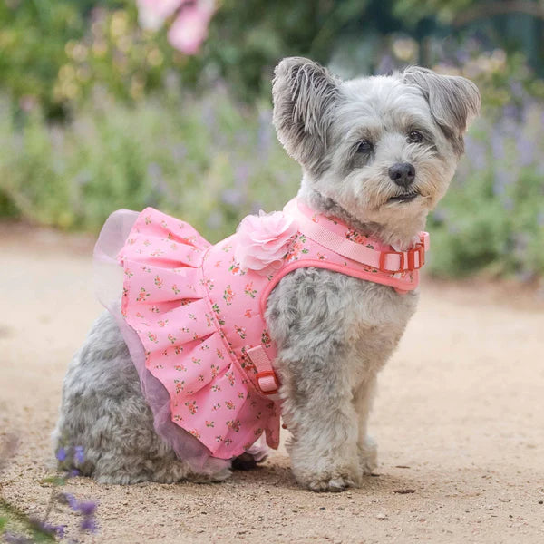 Rose Baby Pink | Made Well Floral Dog Dress Harness