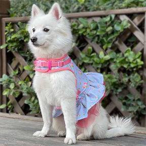 Pastel Blue | Made Well Floral Dog Dress Harness