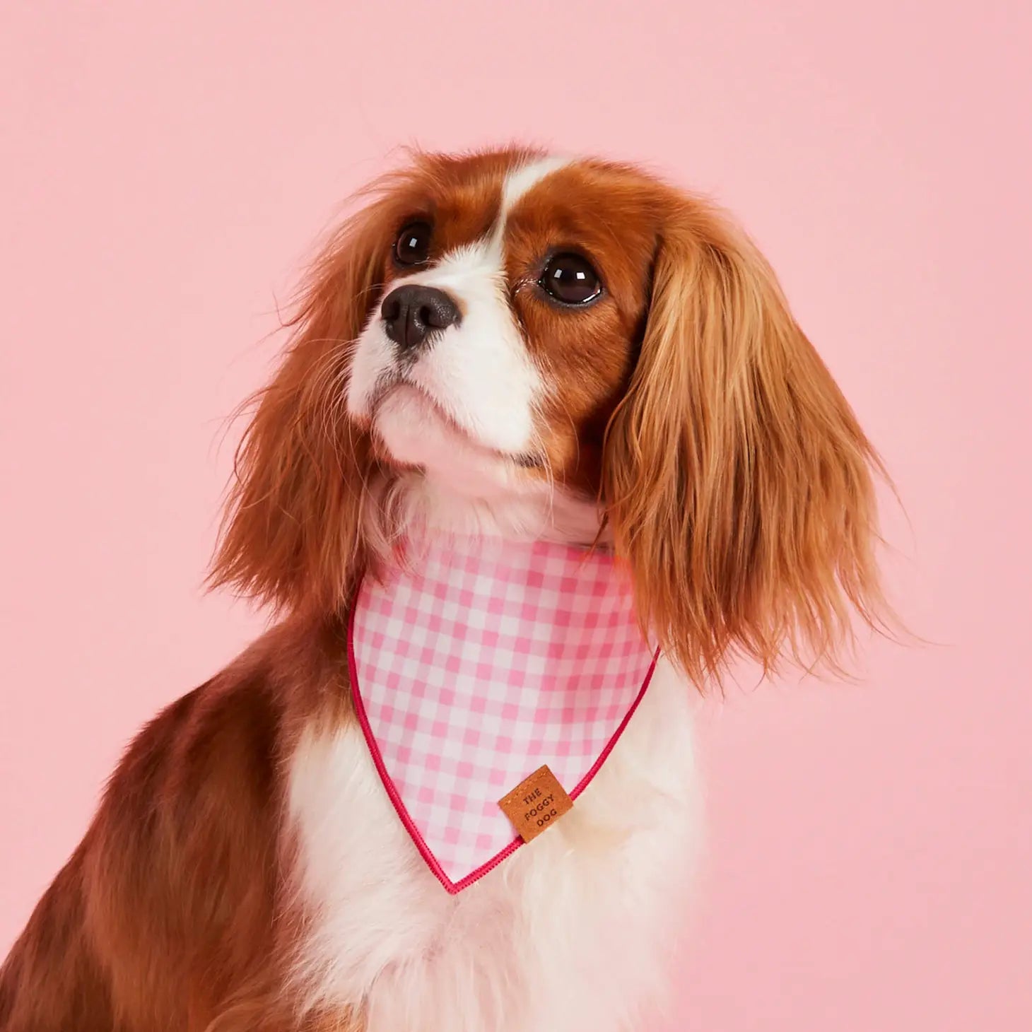 Bandana Dog Valentines Gingham