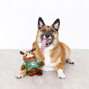 Petshop by Fringe Studio - Feeling Festive Dog Toy