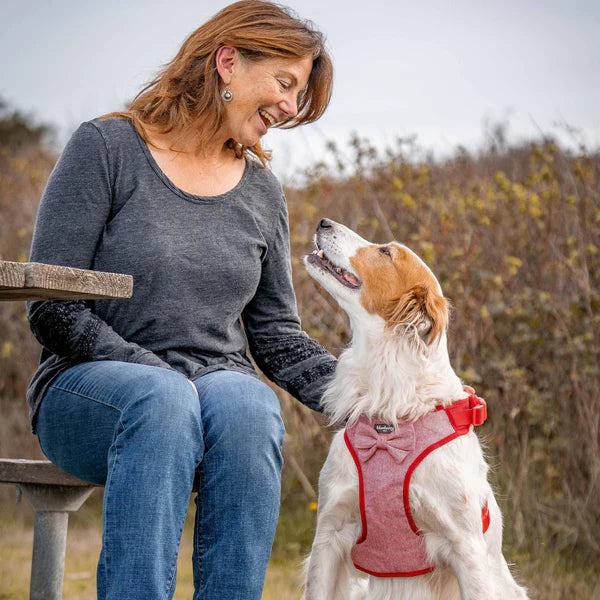 True Red | Textured Tweed Dog Harness Vest