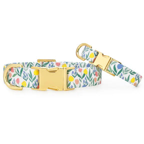 Dog Collar Tulip Garden Spring