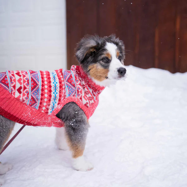 Sugar Coral-Pink | Holiday Charm Hearts Dog Sweater