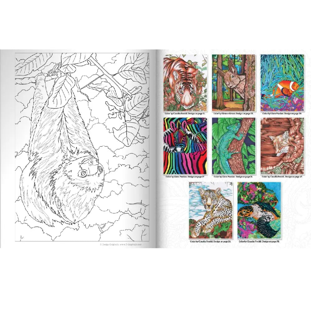 Coloring Book - Hidden Animals