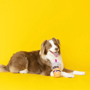 Wagsdale - Barkin Donut Iced Coffee Plush